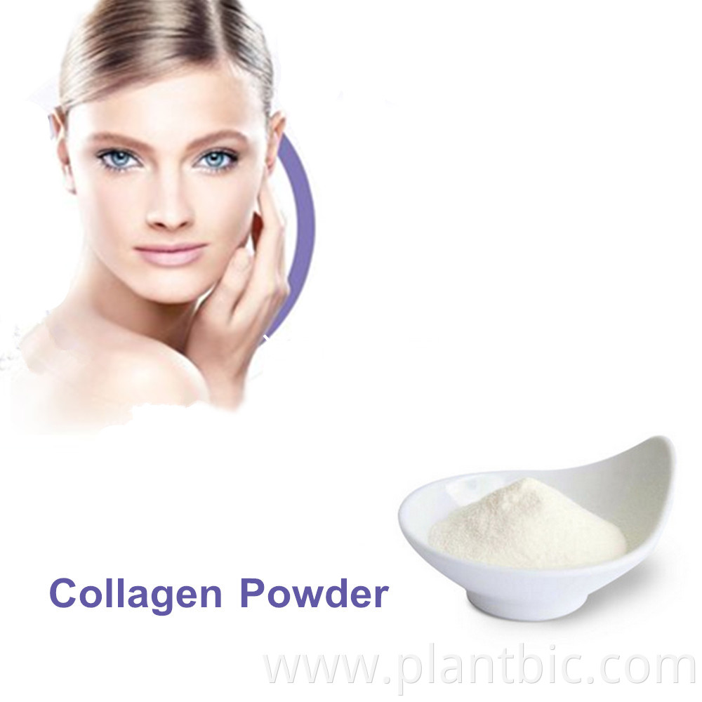 PLANTBIO Factory Supply pure deep sea hydrolyzed marine collagen fish collagen peptide powder